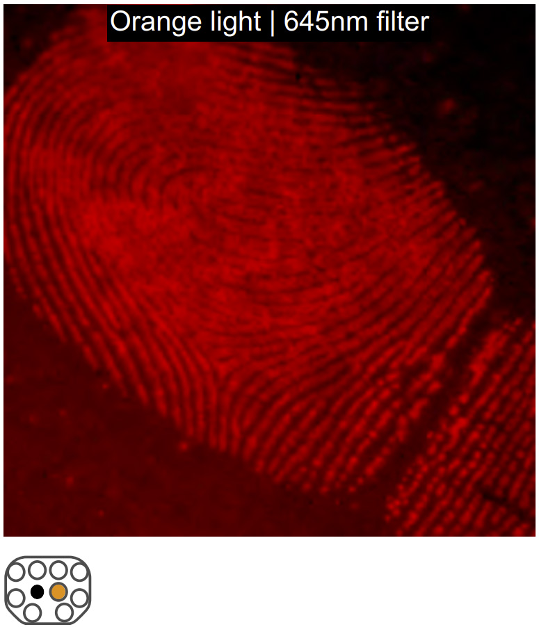 cls fingerprint with dfo